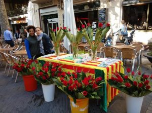 Sant Jordi 2015